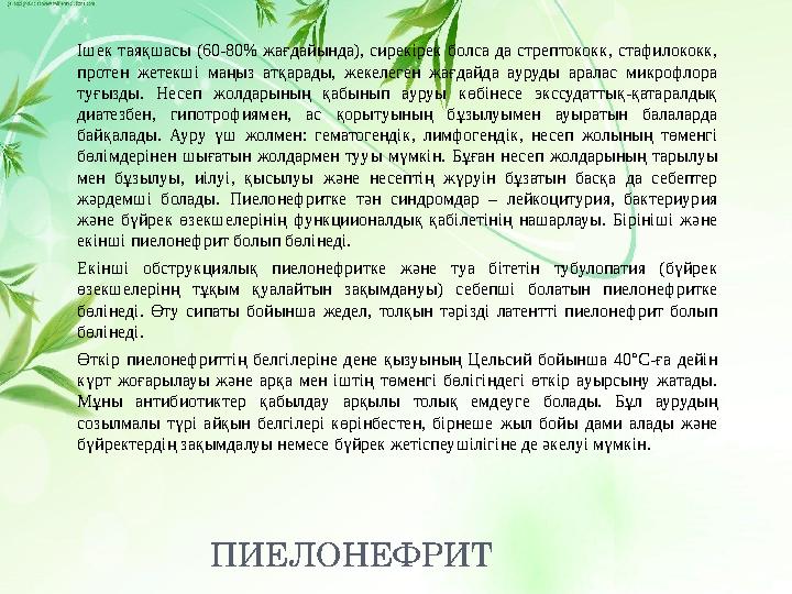 ПИЕЛОНЕФРИТІшек таяқшасы (60-80% жағдайында), сирекірек болса да стрептококк, стафилококк, протен жетекші маңыз атқар