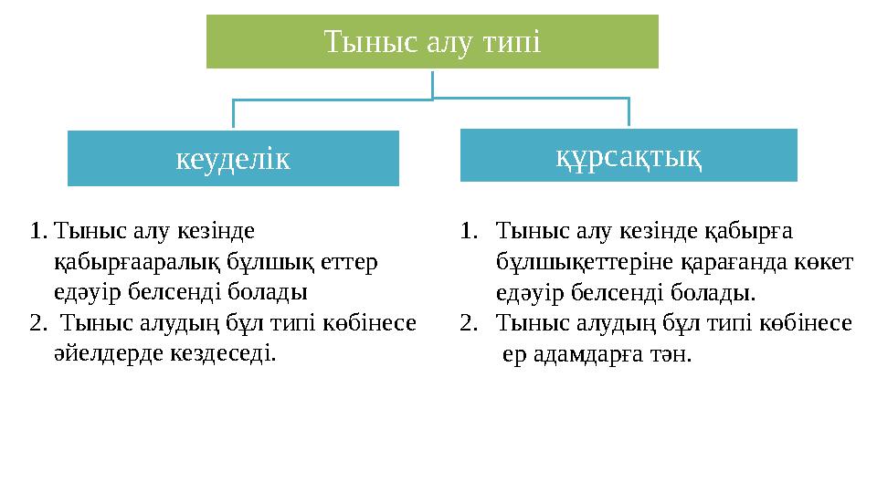 Жеке порноны жүктеп алмай көріңіз
