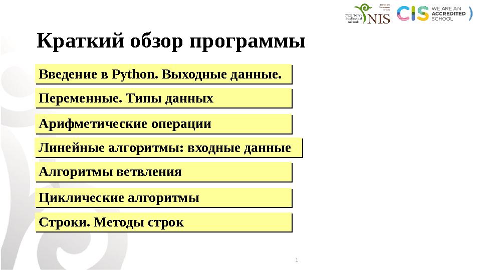 Краткий обзор программы Введение в Python. Выходные данные.Введение в Python. Выходные данные. Строки. Методы строкСтроки. Метод