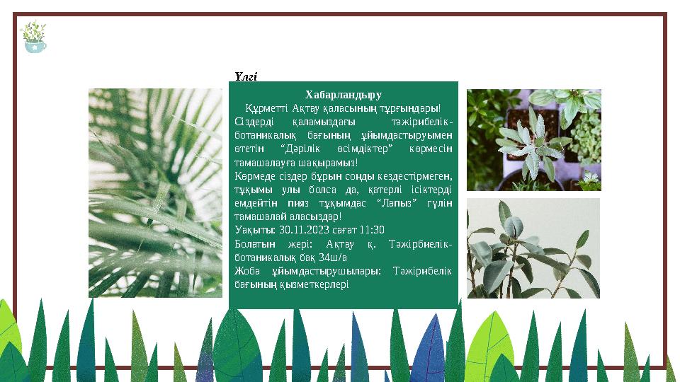 Хабарландыру Құрметті Ақтау қаласының тұрғындары! Сіздерді қаламыздағы тәжірибелік- ботаникалық бағының ұйымдастыруымен ө