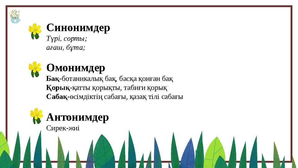 Синонимдер Түрі, сорты; ағаш, бұта; Омонимдер Бақ -ботаникалық бақ, басқа қонған бақ Қорық -қатты қорықты, табиғи қорық Сабақ -