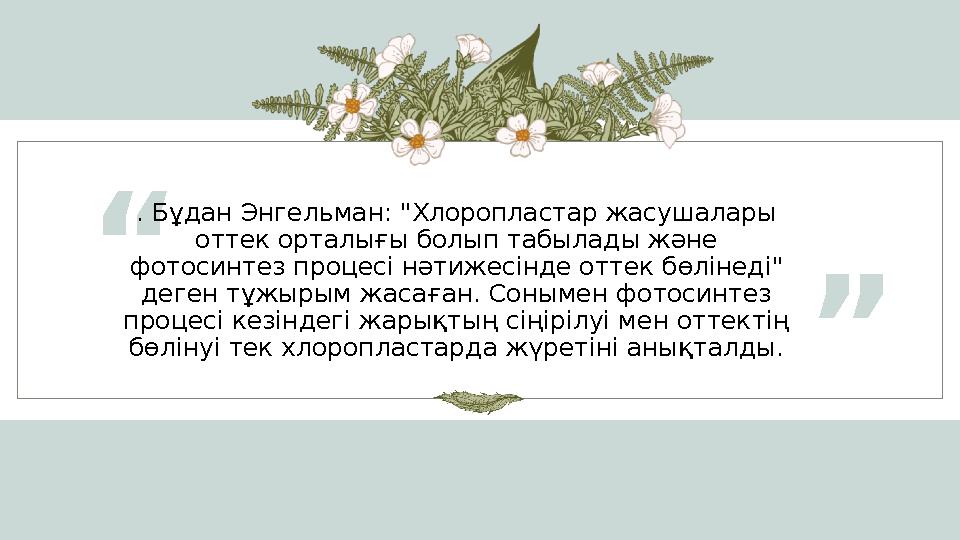 “ ”. Бұдан Энгельман: "Хлоропластар жасушалары оттек орталығы болып табылады және фотосинтез процесі нәтижесінде оттек бөлінед