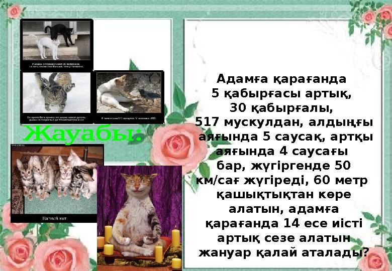 VI. СЕРГІТУ СӘТІ. (Кел, күлейік!) Тапсырма: Адамға қарағанда 5 қабырғасы артық, 30 қабырғалы, 517 мускулдан, алдыңғы аяғ