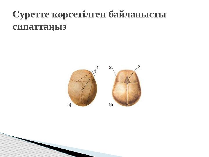 Суретте көрсетілген байланысты сипаттаңыз