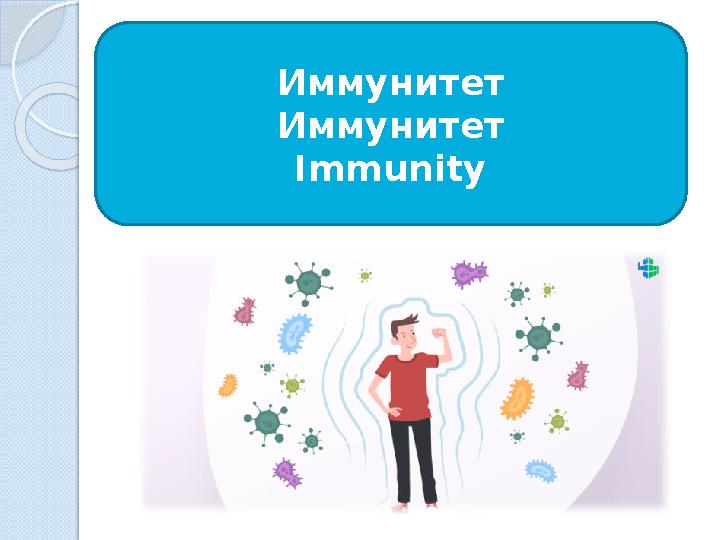 Иммунитет Иммунитет Immunity