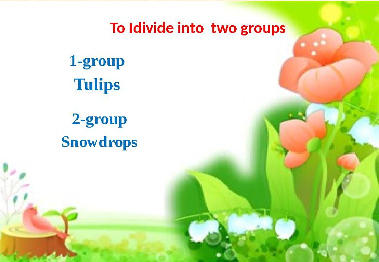 To Idivide into two groups 1-group Tulips 2-group Snowdrops