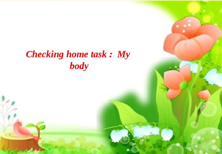 Checking home task : My body