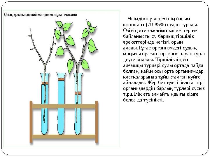 Өсімдіктер денесінің басым көпшілігі (70-85%) судан тұрады. Өзінің өте ғажайып қасиеттеріне байланысты су барлық тір