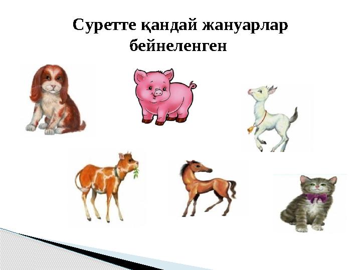 С уретте қандай жануарлар бейнеленген