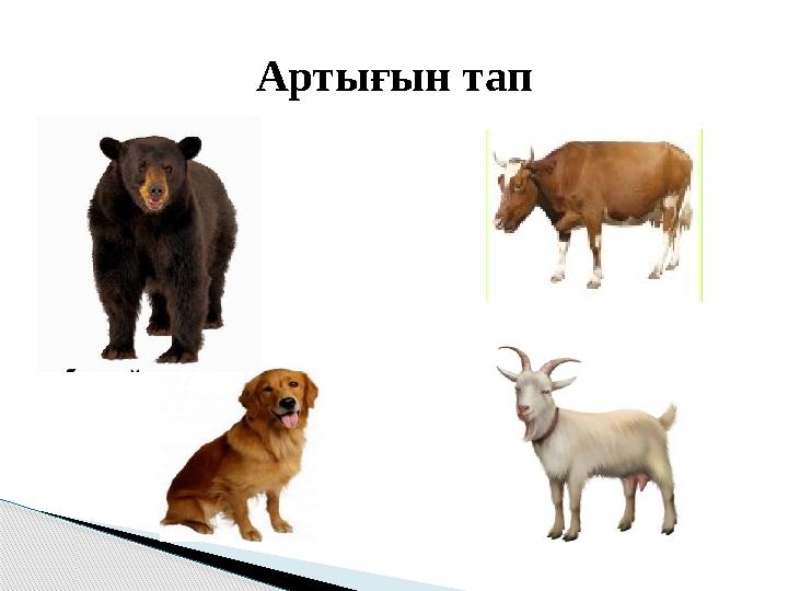 Арты ғын тап