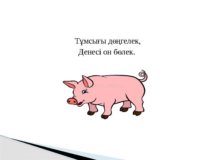 Т ұмсығы дөңгелек, Денесі он бөлек.