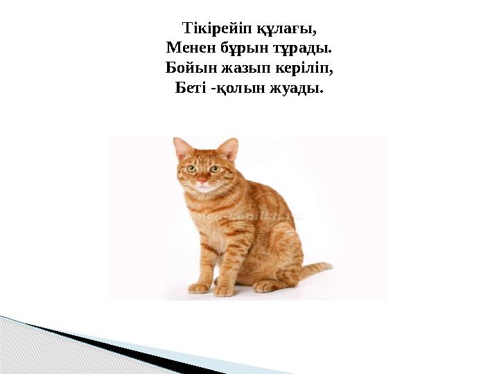Тікірейіп құлағы, Менен бұрын тұрады. Бойын жазып керіліп, Беті -қолын жуады.