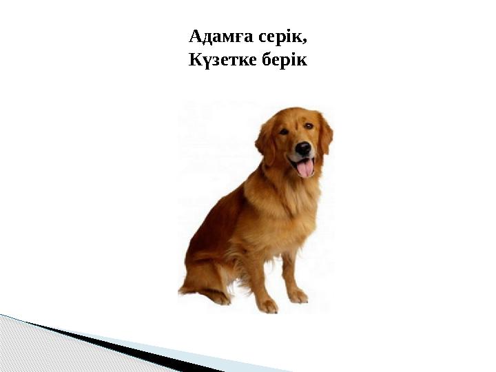 Адамға серік, Күзетке берік