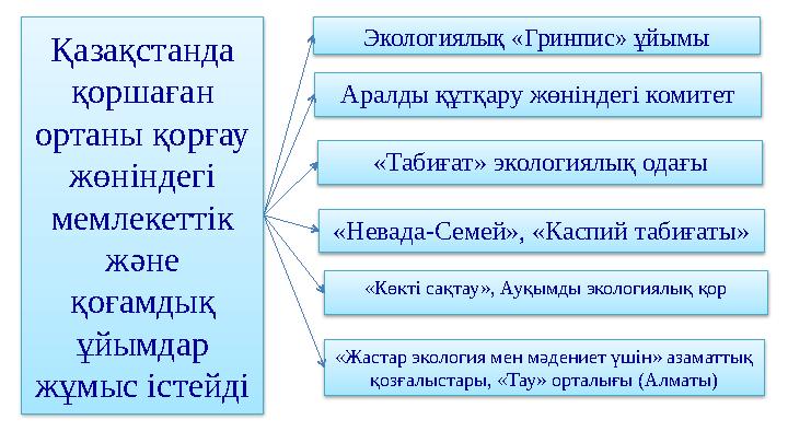 Қазақстанда қоршаған ортаны қорғау жөніндегі мемлекеттік және қоғамдық ұйымдар жұмыс істейді Аралды құтқару жөніндегі ко