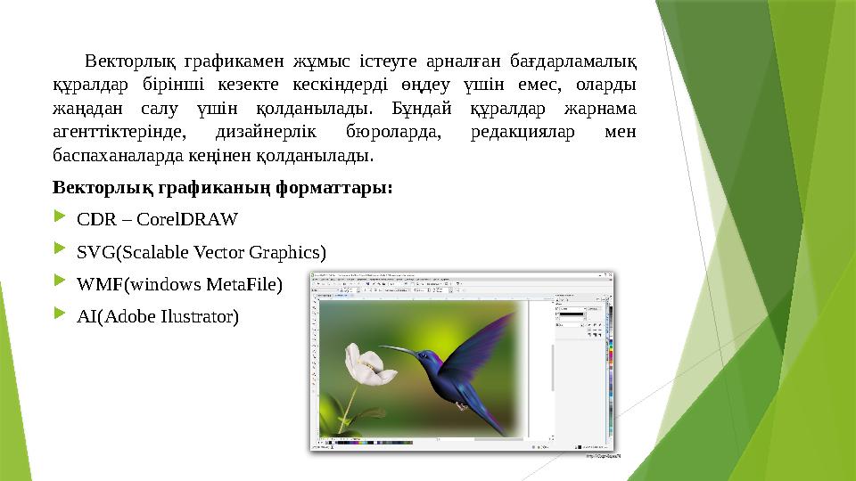 Векторлық графикамен жұмыс істеуге арналған бағдарламалық құралдар бірінші кезекте кескіндерді өңдеу үшін емес, ола