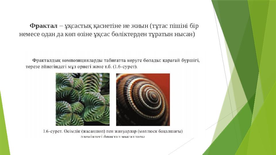 Фрактал – ұқсастық қасиетіне ие жиын (тұтас пішіні бір немесе одан да көп өзіне ұқсас бөліктерден тұратын нысан)