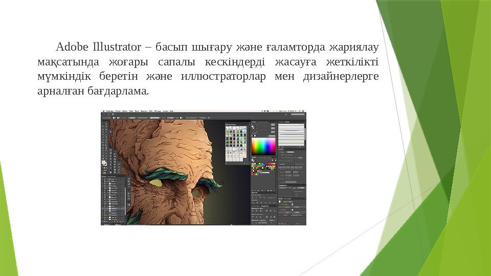 Adobe Illustrator – басып шығару және ғаламторда жариялау мақсатында жоғары сапалы кескіндерді жасауға жеткілікті