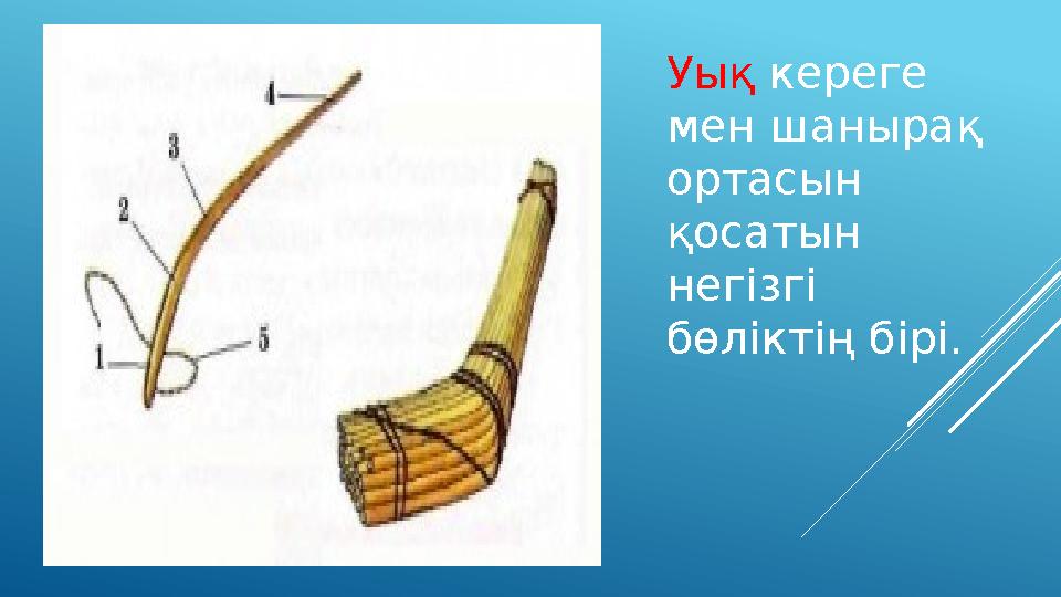 Уық кереге мен шанырақ ортасын қосатын негізгі бөліктің бірі.