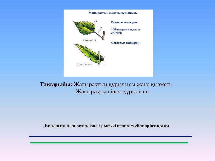 Жетілген орыс волосатые порно видео