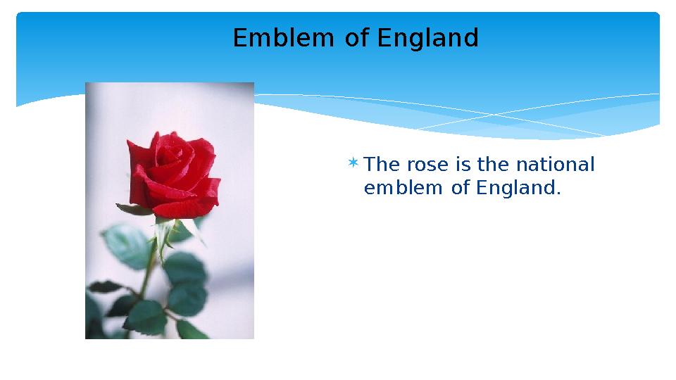  The rose is the national emblem of England . Emblem of England