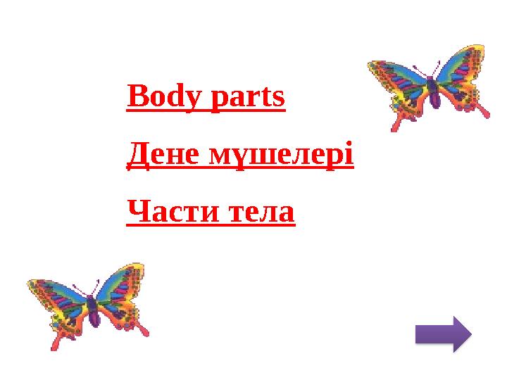 Body parts Дене м үшелері Части тела
