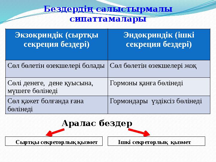 Экзокриндік (сыртқы секреция бездері) Эндокриндік (ішкі секреция бездері) Сөл бөлетін өзекшелері болады Сөл бөлетін өзекшелері