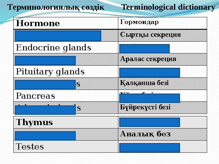Hormone Гормондар Е xocrine glands Сыртқы секреция Endocrine glands Ішкі секреция Mixed glands Аралас секреция Pituitary gla
