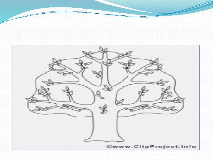 “ Сәттілік ағашы”