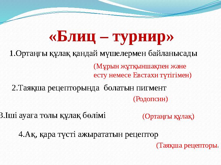 «Блиц – турнир» 1.Ортаңғы құлақ қандай мүшелермен байланысады (Мұрын жұтқыншақпен және есту немесе Евстахи түтігімен) 2.Таяқша