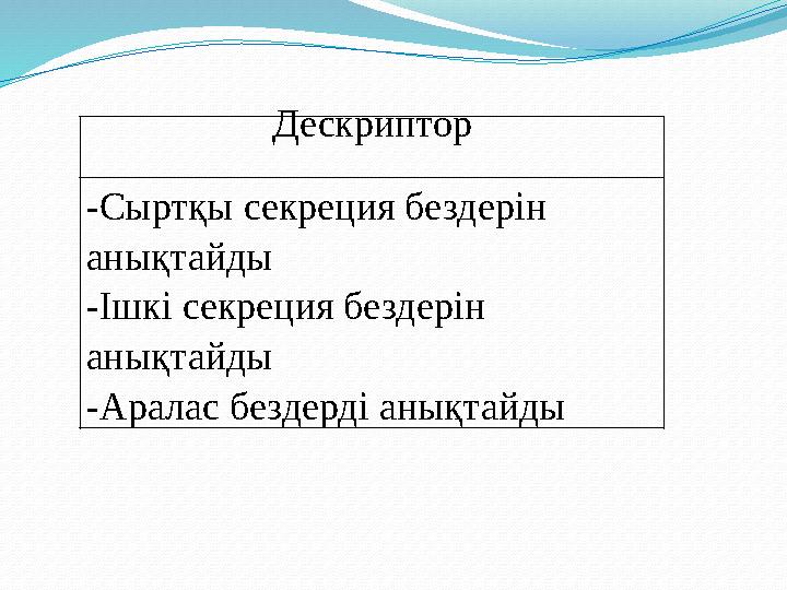 Дескриптор -Сыртқы секреция бездерін анықтайды -Ішкі секреция бездерін анықтайды -Аралас бездерді анықтайды