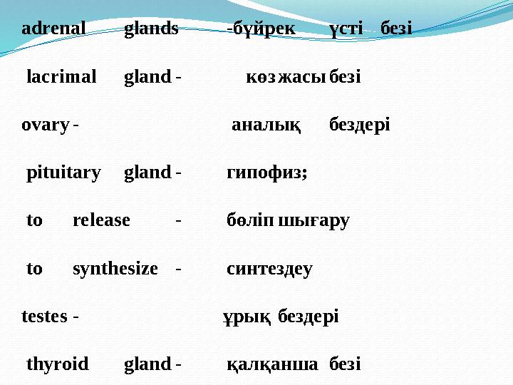 adrenal glands - бүйрек үсті безі lacrimal gland - көз жасы безі ovary - аналық бездері pituita