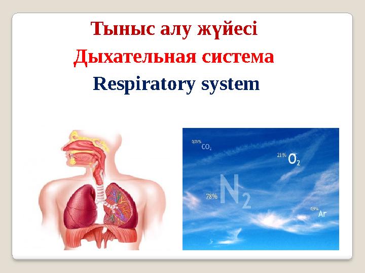 Трусикидегі мазақ Орыс би порно