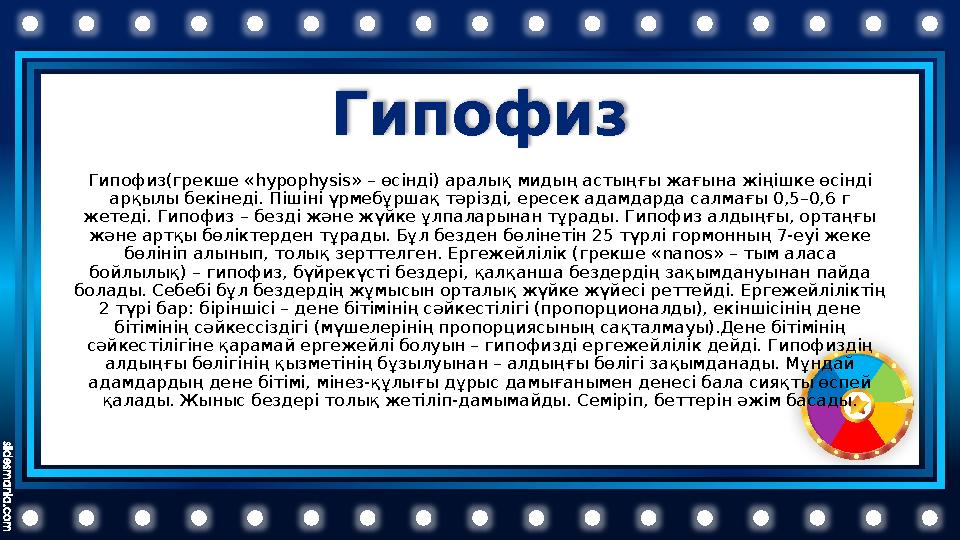 Гипофиз Гипофиз(грекше « hypophys і s» – өсінді) аралық мидың астыңғы жағына жіңішке өсінді арқылы бекінеді. Пішіні үрмебұрша