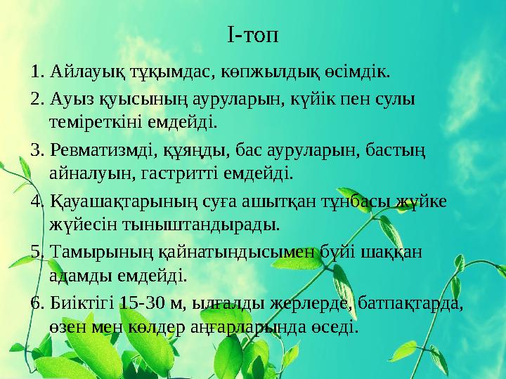 I-топ 1. Айлауық тұқымдас, көпжылдық өсімдік. 2. Ауыз қуысының ауруларын, күйік пен сулы теміреткіні емдейді. 3. Ревматизмді,