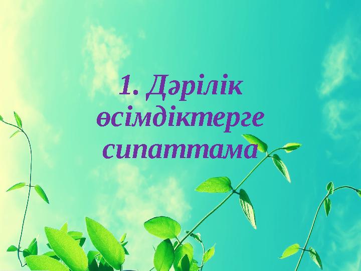 1. Дәрілік өсімдіктерге сипаттама