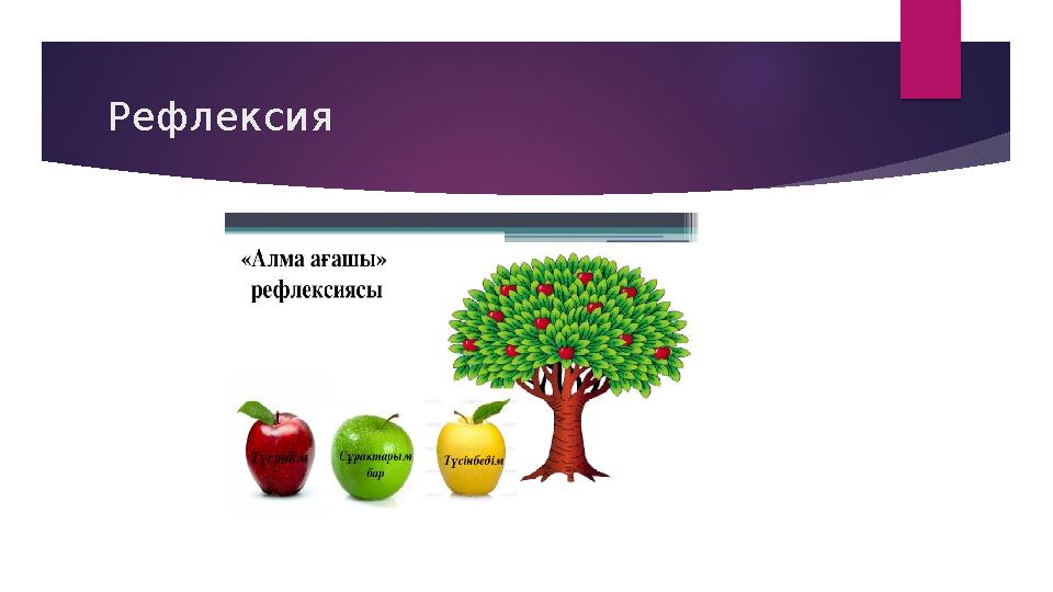 Рефлексия