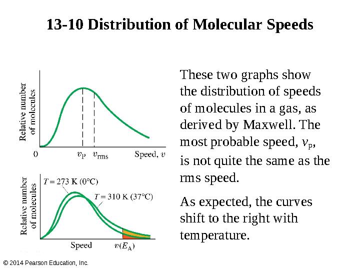 13-10 Distribution of Molecular Speeds © 2014 Pearson Education, Inc. These two graphs show the distribution of speeds of molecu