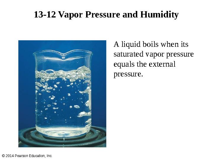 A liquid boils when its saturated vapor pressure equals the external pressure.13-12 Vapor Pressure and Humidity © 2014 Pearso