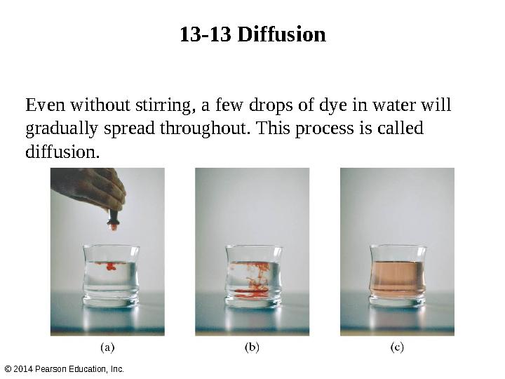 13-13 Diffusion © 2014 Pearson Education, Inc. Even without stirring, a few drops of dye in water will gradually spread through