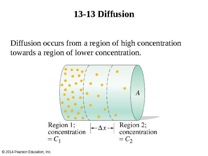 13-13 Diffusion © 2014 Pearson Education, Inc. Diffusion occurs from a region of high concentration towards a region of lower c