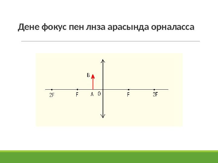 Дене фокус пен лнза арасында орналасса