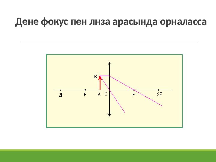 Дене фокус пен лнза арасында орналасса