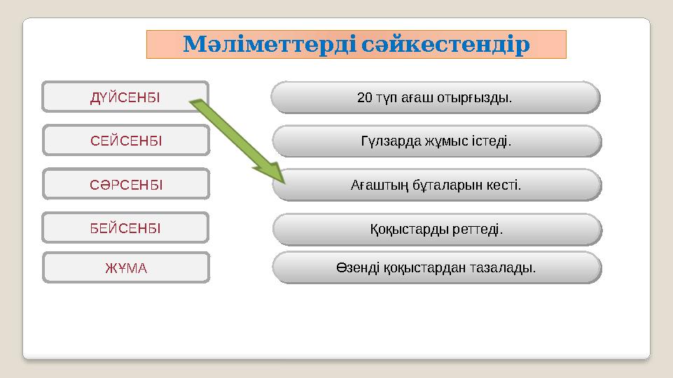 Мәліметтерді сәйкестендір ЖҰМАБЕЙСЕНБІ СӘРСЕНБІ СЕЙСЕНБІ ДҮЙСЕНБІ Гүлзарда жұмыс істеді.20 түп ағаш отырғызды. Ағаштың бұталары