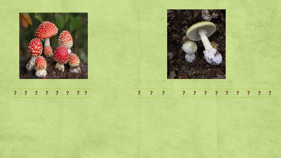 ? ? ? ? ? ? ? ? ? ? ? ? ? ? ? ? ? ? ? ?