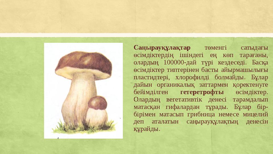 Саңырауқұлақтар төменгі сатыдағы өсімдіктердің ішіндегі ең көп тарағаны, олардың 100000-дай т үрі кездеседі. Басқа