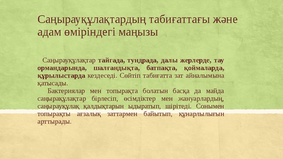 Саңырауқұлақтардың табиғаттағы және адам өміріндегі маңызы Саңырауқұлақтар тайгада, тундрада, далы жерлерде, тау