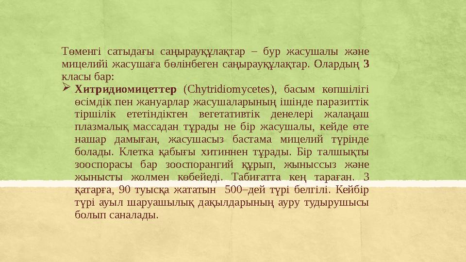 Төменгі сатыдағы саңырауқұлақтар – бур жасушалы және мицелийі жасушаға бөлінбеген саңырауқұлақтар. Олардың 3 класы