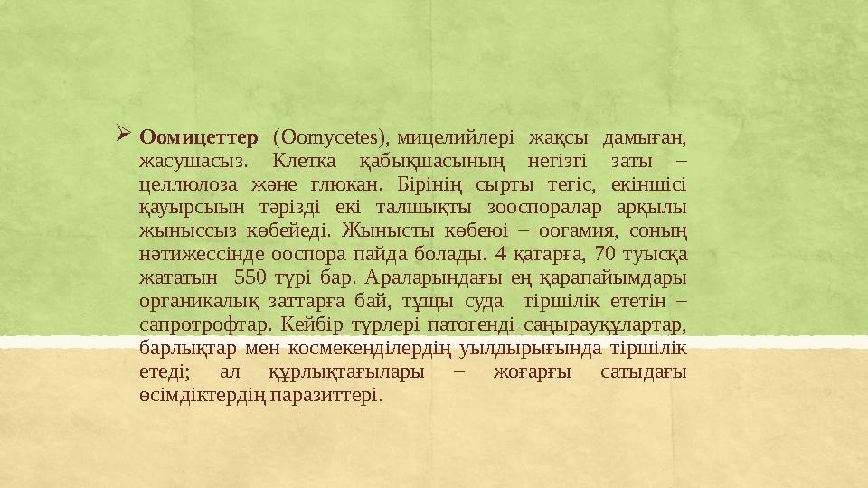  Оомицеттер (Oomycetes), мицелийлері жақсы дамыған, жасушасыз. Клетка қабықшасының негізгі заты – целлюлоза және г