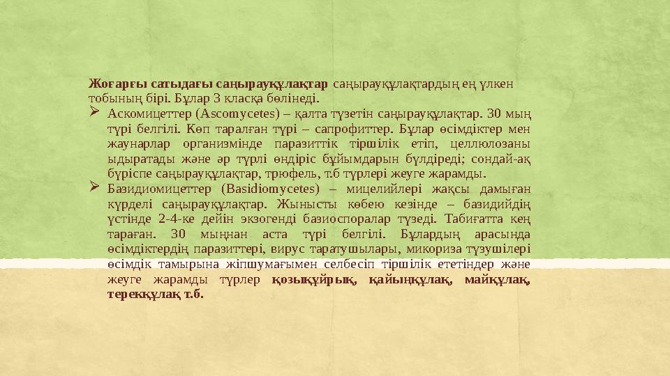 Жоғарғы сатыдағы саңырауқұлақтар саңырауқұлақтардың ең үлкен тобының бірі. Бұлар 3 класқа бөлінеді.  Аскомицеттер (Ascomyc