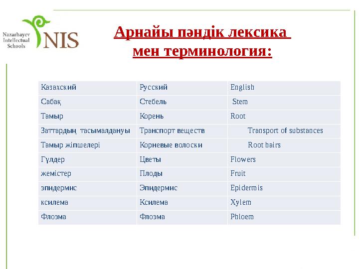 Казахский Русский English Сабақ Стебель Stem Тамыр Корень Root Заттардың тасымалдануы Транспорт веществ Transport of substa